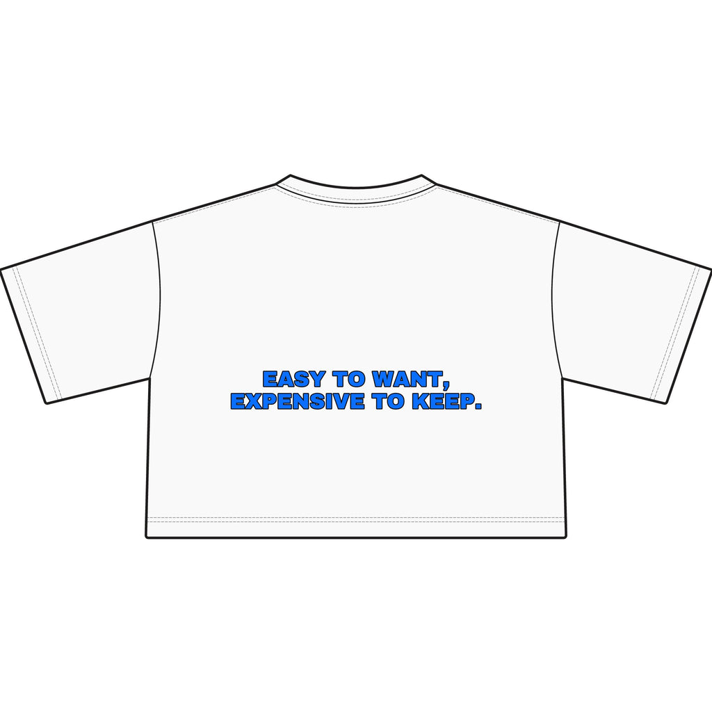Easy to want, expensive to keep. Statement Crop Tee - Funny Flirty Dating Gift for Her | Seen Zoned