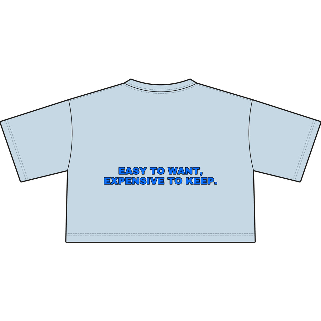 Easy to want, expensive to keep. Statement Crop Tee - Funny Flirty Dating Gift for Her | Seen Zoned