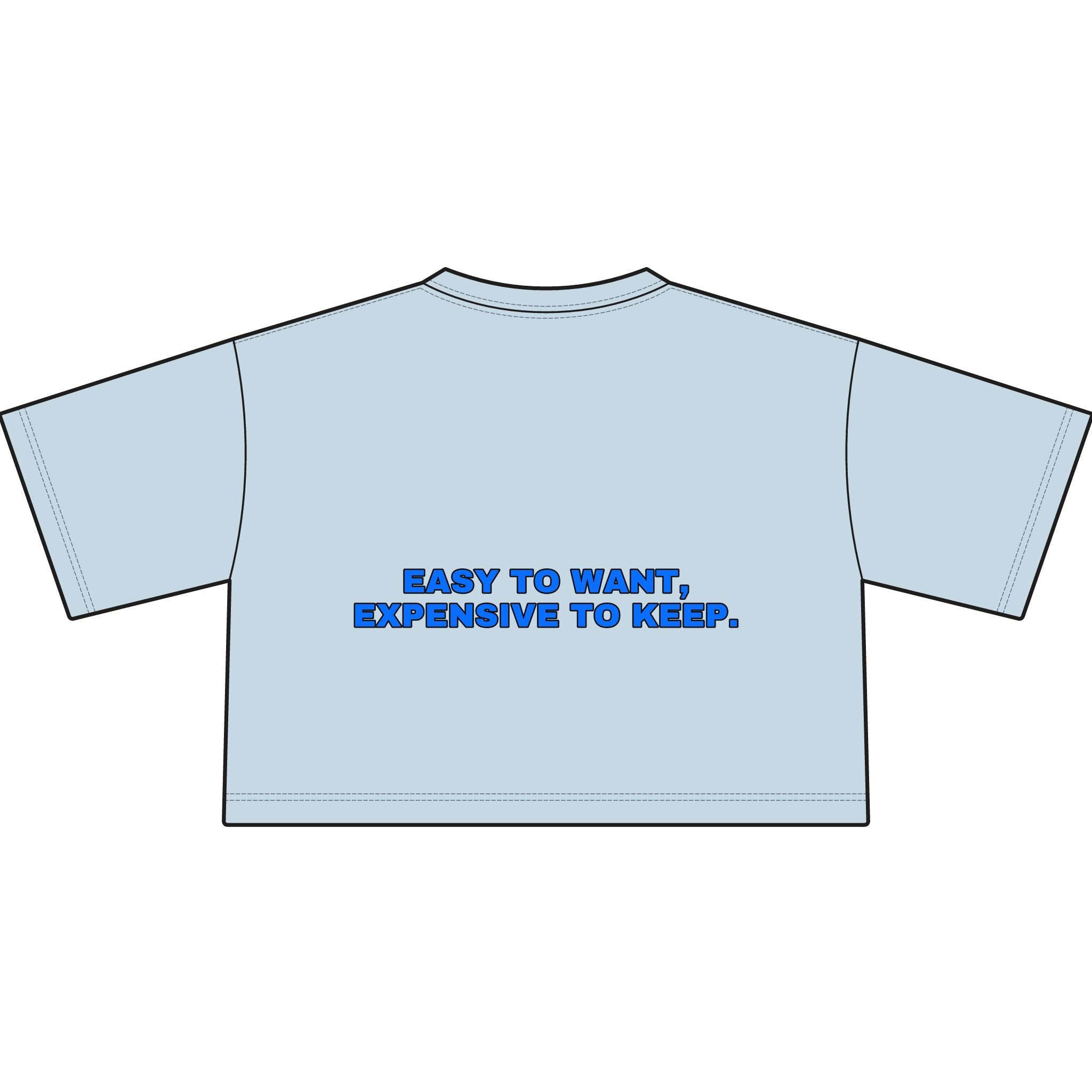 Easy to want, expensive to keep. Statement Crop Tee - Funny Flirty Dating Gift for Her | Seen Zoned