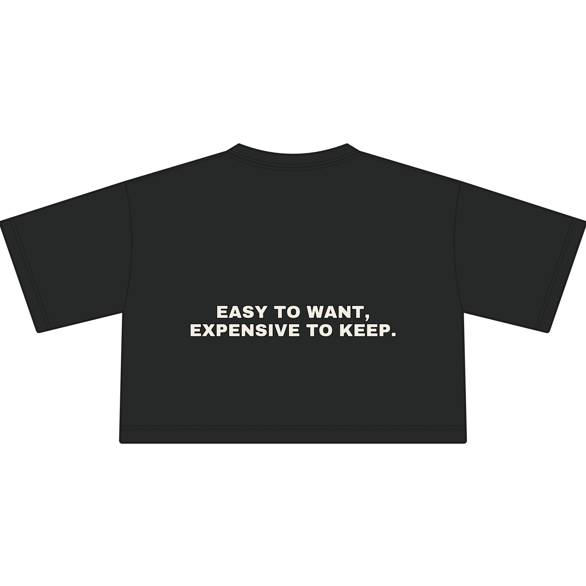 Easy to want, expensive to keep. Statement Crop Tee - Funny Flirty Dating Gift for Her | Seen Zoned