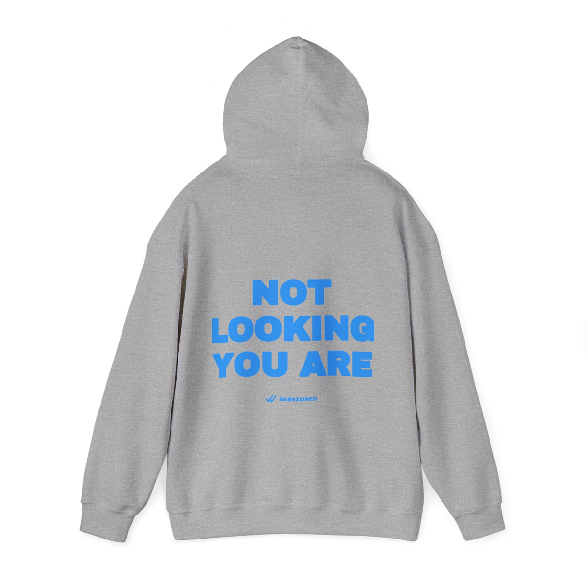 Not looking. You are. Hoodie · Sky