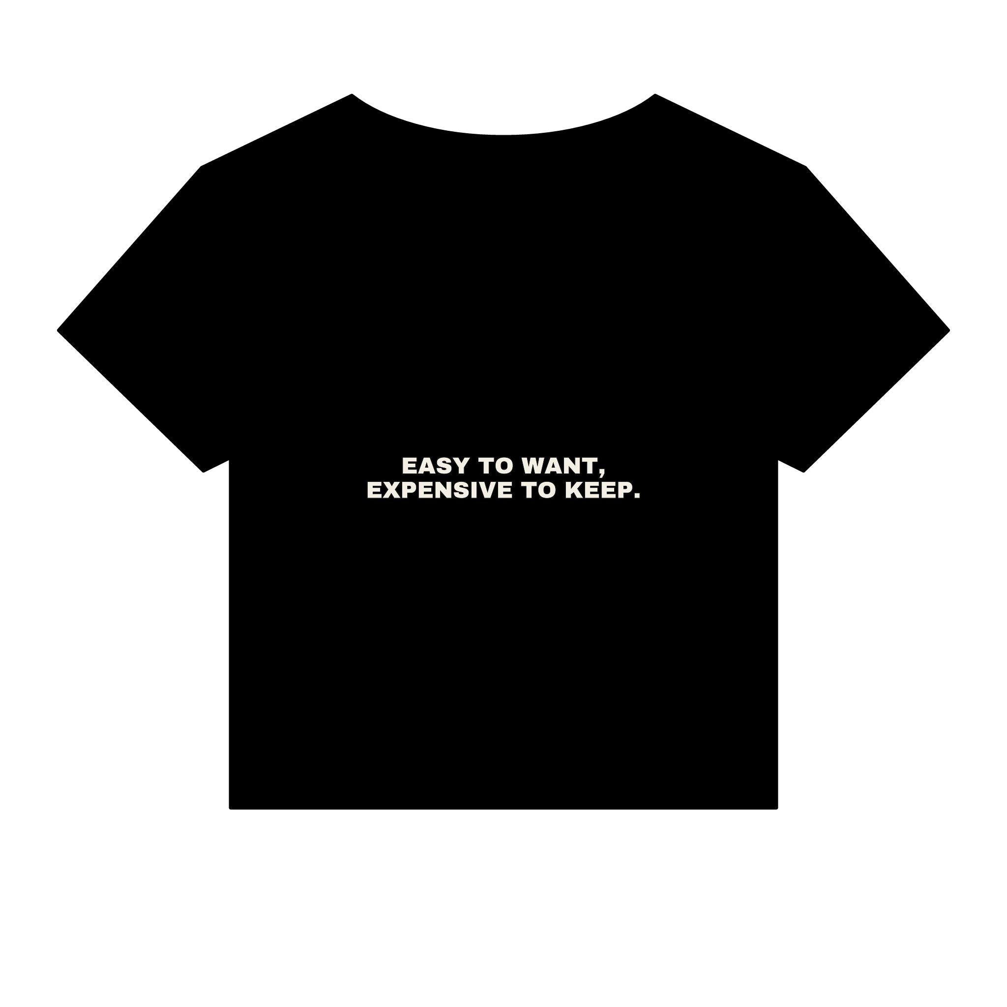 Easy to want, expensive to keep. Statement Baby Tee - Funny Flirty Dating Gift for Her | Seen Zoned