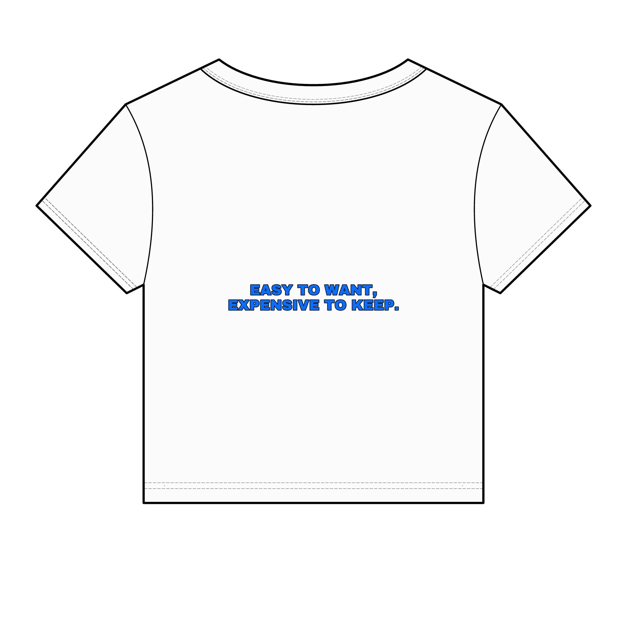 Easy to want, expensive to keep. Statement Baby Tee - Funny Flirty Dating Gift for Her | Seen Zoned
